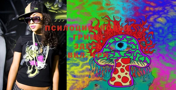 PSILOCYBIN Армянск