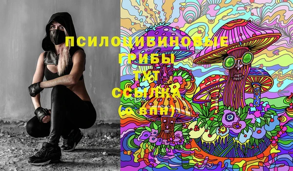 PSILOCYBIN Армянск
