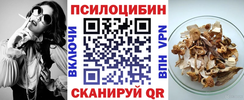 KRAKEN tor Рыльск Галлюциногенные грибы Psilocybe